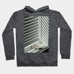 Windowsill with Quartz Hoodie